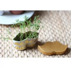 IDEES CREATIVES : Tuto : Réaliser une boîte à pousse, par Mymy Cracra