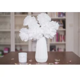 IDEES CREATIVES : Vidéo - Réaliser des fleurs en papier, par Dolly Jessy