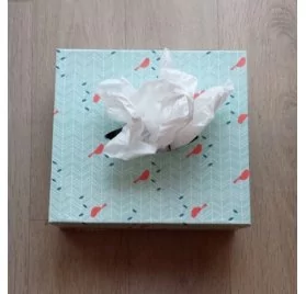 IDEES CREATIVES : Tuto : Réaliser une boîte distributrice, par Roze Pompon