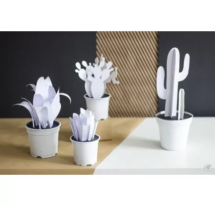 IDEES CREATIVES : Tuto : Réaliser des cactus en papier, par La Délicate Parenthèse IDEES CREATIVES : Tuto : Réaliser des cactus en papier, par La Délicate Parenthèse