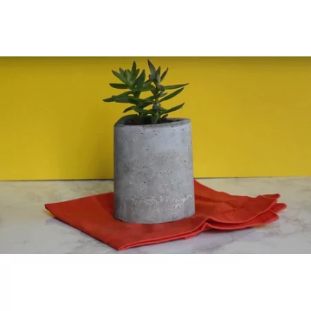 IDEES CREATIVES : Vidéo - Réaliser un terrarium en béton, par Studio Cyanotype