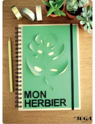 IDEES CREATIVES : Tuto : Réaliser un herbier, par Toga