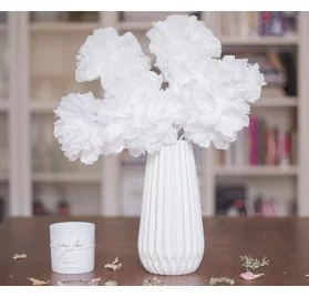 IDEES CREATIVES : Tuto : Réaliser des fleurs avec des serviettes en papier, par DollyJessy