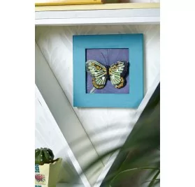 IDEES CREATIVES : Tuto - Urban Jungle - Le cadre à papillon