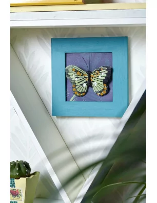 IDEES CREATIVES : Tuto - Urban Jungle - Le cadre à papillon