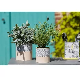 IDEES CREATIVES : Tuto - Barbecue Party - Le meuble de rangement - Les plantes