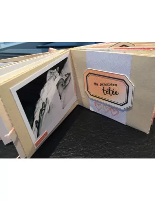 IDEES CREATIVES : Tuto : Réalisez un album livre de naissance de la planche MES P'TITS SOUVENIRS de MISS CREA, par Laetitia B
