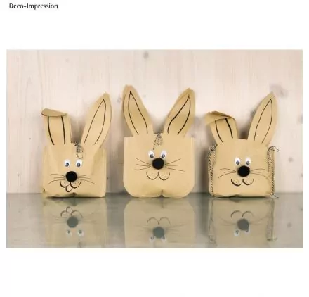 AFFAIRES : Lot de 3 sachets en papier kraft avec accessoires 'Rayher' Lapin de Pâques 17x28 cm