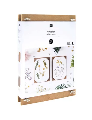 ART FLORAL : Presse à fleurs 'Rico Design' 29.7 cm x 21 cm