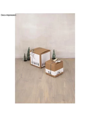 SUPPORTS A DECORER : Lot de 6 boîtes à monter 'Rayher' Kraft 7.5x7.5x7.5 cm