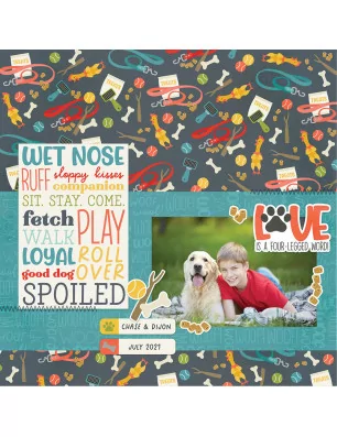 SCRAPBOOKING : Papier double 30x30 'Simple Stories - Pet Shoppe Dog' Belly Rubs