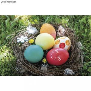 Colorants alimentaires pour oeufs 'Rayher' 
