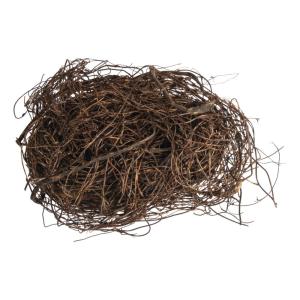 ART FLORAL : Branches décoratives Mühlenbeckie 'Rayher' 50g