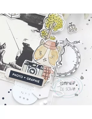 SCRAPBOOKING : Tampons transparents 'Comptoir du Scrap - Echappée Belle' Sur le camp
