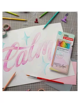 CRAYONS COULEURS : Set de 12 crayons de couleur aquarellables 'STABILO' Pastellove
