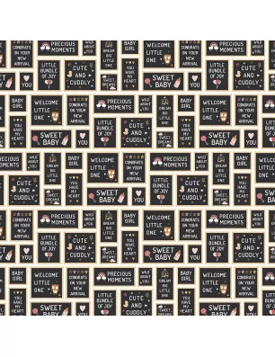SCRAPBOOKING : Papier double 30x30 ' Echo Park Paper - Special Delivery Baby Girl' Baby Girl Signs