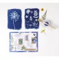 Kit Cyanotype 'Clairefontaine - Invincible été' 