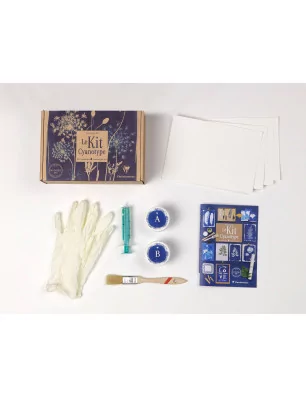 CYANOTYPE : Kit Cyanotype 'Clairefontaine - Invincible été'