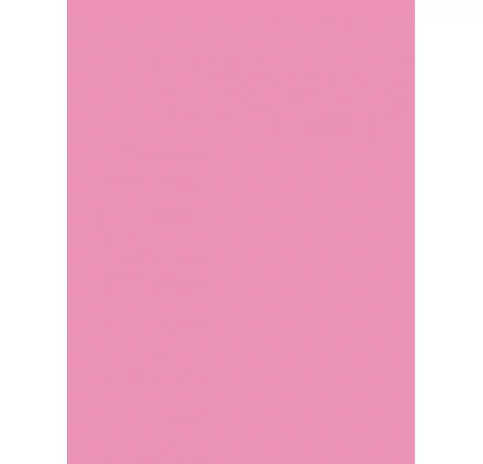 ART DU FIL : Feuille de flex 30x20 cm 'Chemica - Quickflex Revolution' Rose ART DU FIL : Feuille de flex 30x20 cm 'Chemica - Quickflex Revolution' Rose