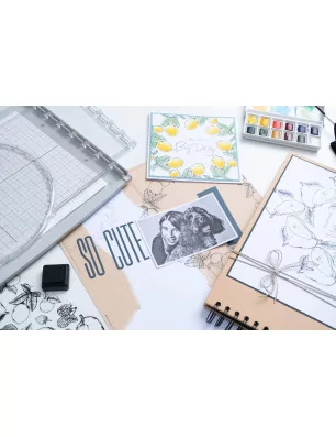 OUTILS CARTERIE : Stamp & Spin Tool 'Sizzix'